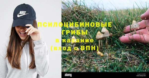 трава Куйбышев