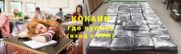прущие грибы Кукмор