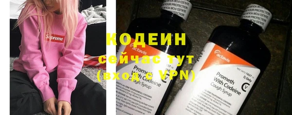прущие грибы Кукмор