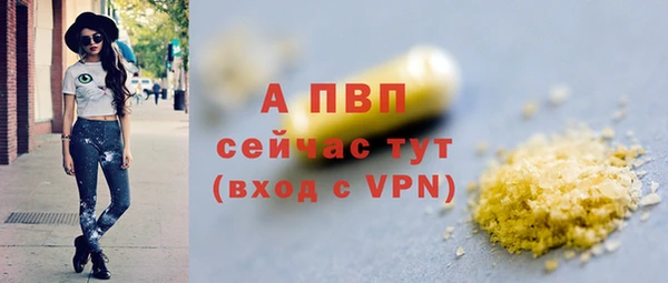 прущие грибы Кукмор