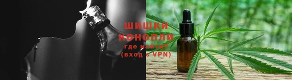 трава Куйбышев