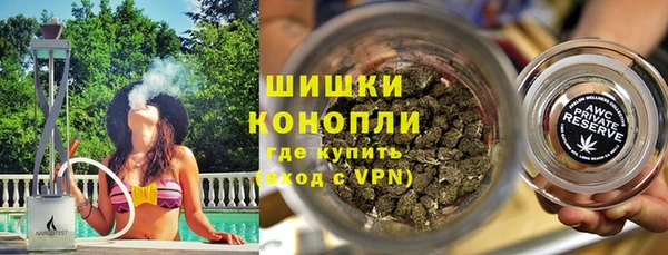 прущие грибы Кукмор