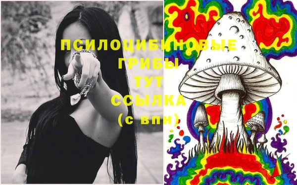 трава Куйбышев