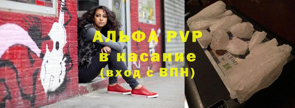 прущие грибы Кукмор