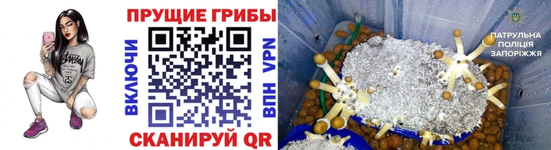 Галлюциногенные грибы мухоморы  Купить где  Дедовск 